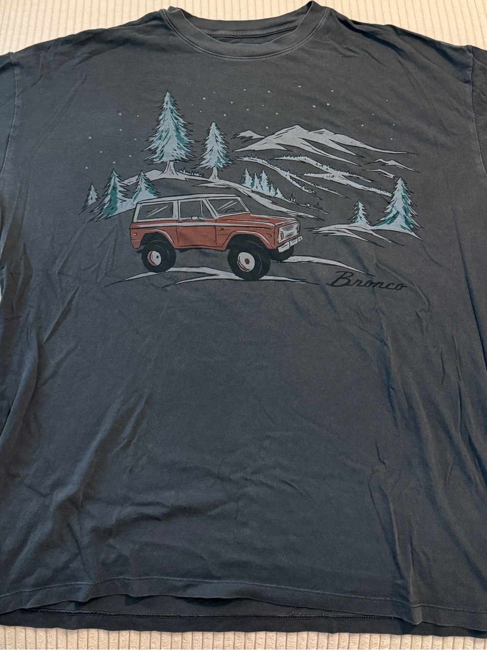 American Eagle Outfitters Charcoal Tee with Rust Bronco & Teal Trees